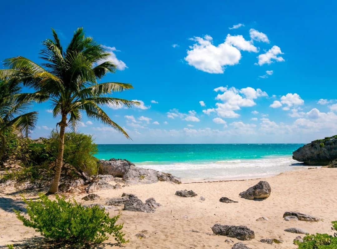 TROPICAL PARADISE EN PLAYA DEL CARMEN